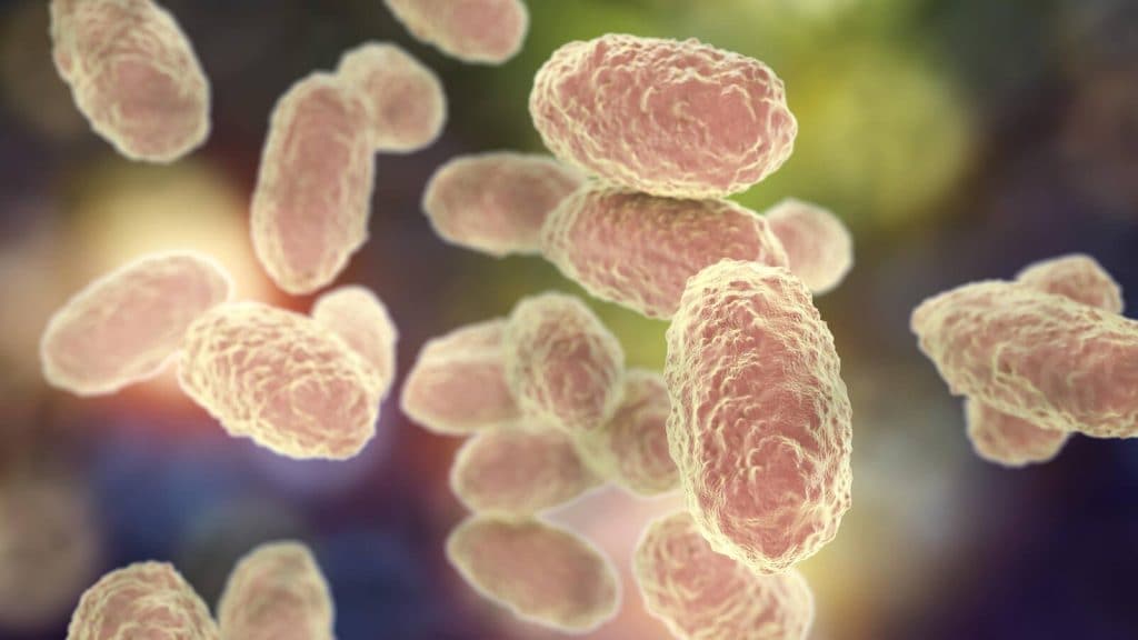 Understanding whooping cough with a Mayo Clinic expert